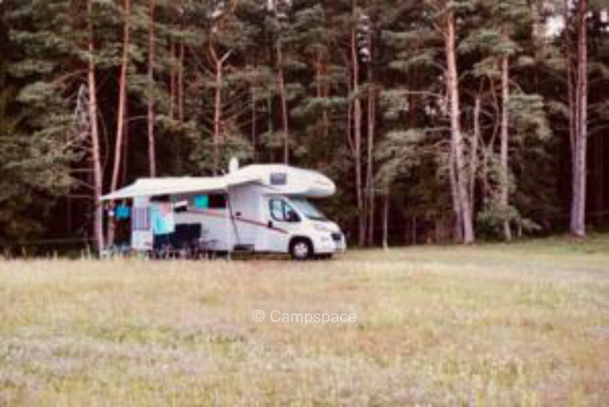 Pure nature in the middle of forest and meadows in Goritz