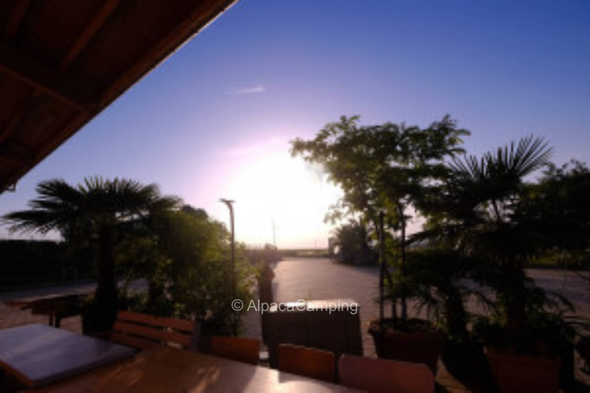 In Landau in the Palatinate #1