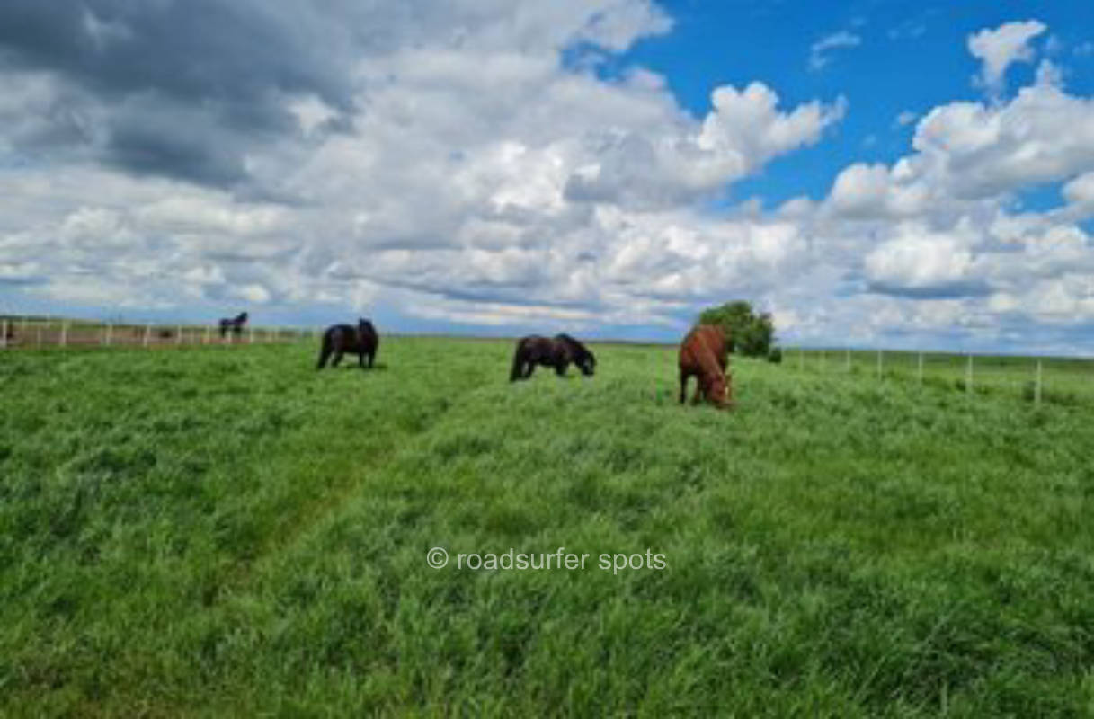 Camping Auszeit auf dem Bauernhof