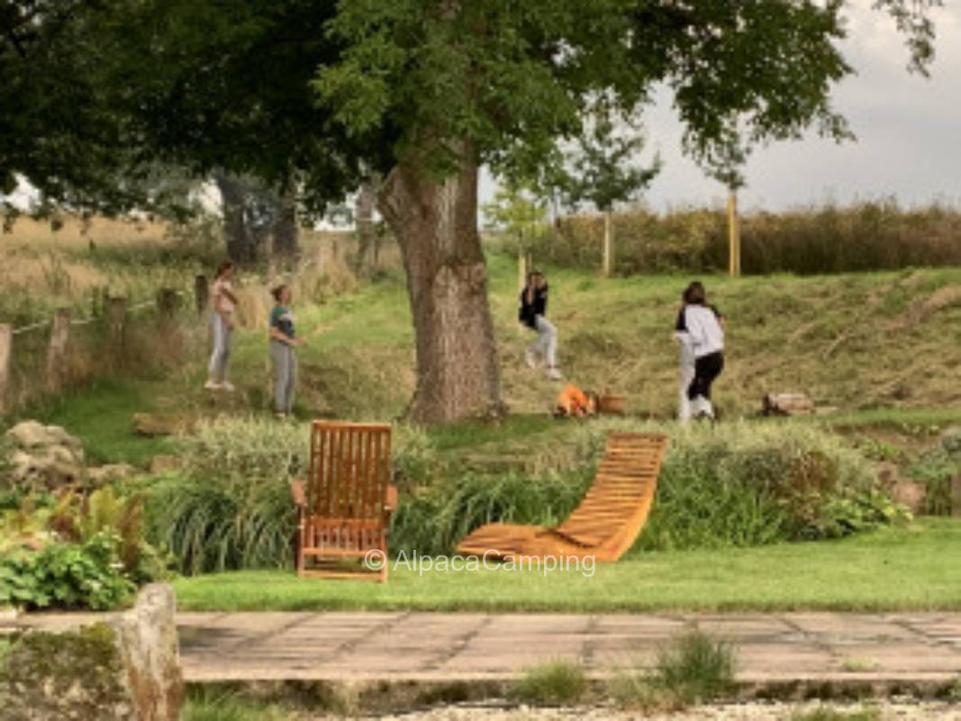 Behind the yard in the garden #2