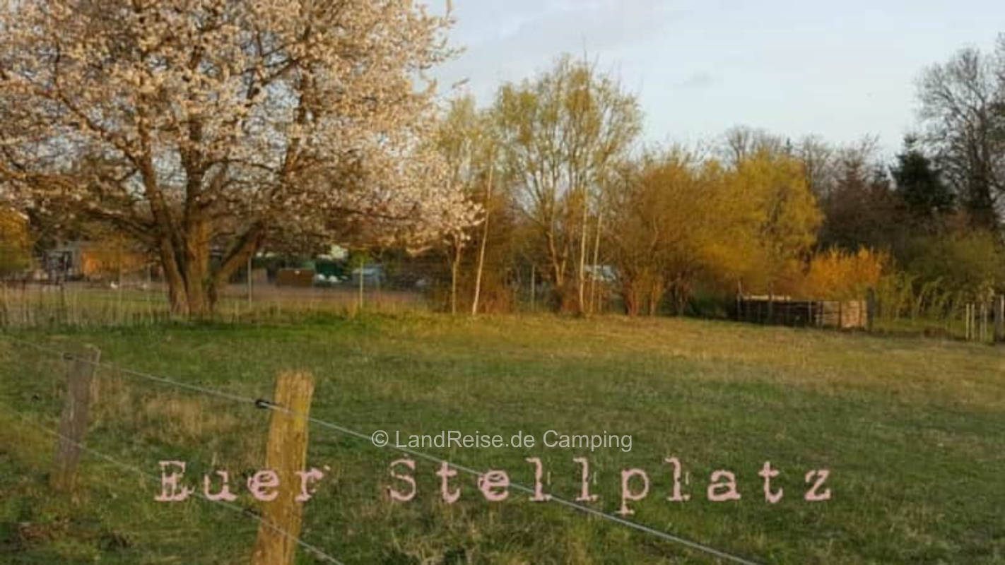 "Tierisch" entspannen auf der Koppel unterm Wildkirschenbau