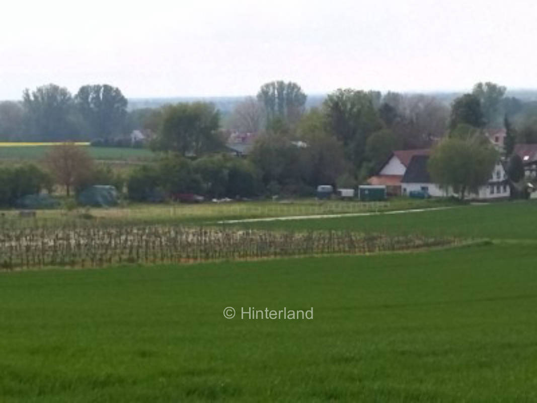 Stellplatz in der schönen Südpfalz