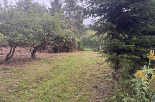 Camping Ruhige Lage am Stadtrand
