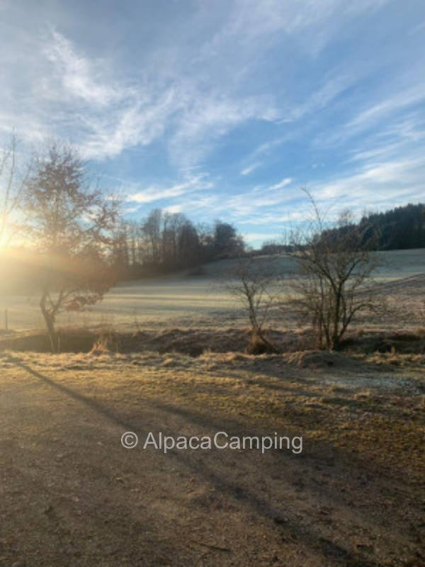Stellplatz im Grünen an einem kleinen Bach #2