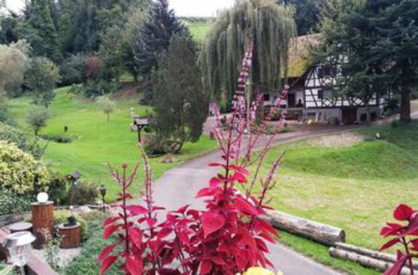 Camping am Hof im Schwarzwald