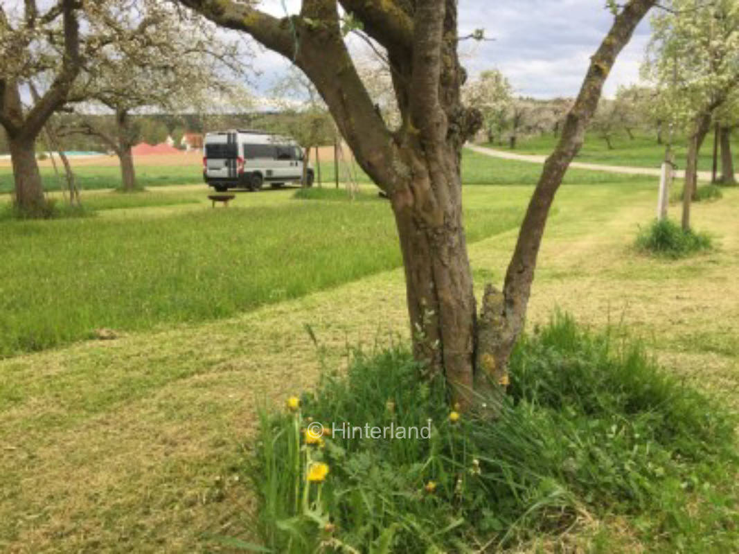 Time out at the flower meadow + fireplace