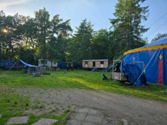 Camp auf der Zirkuswiese mitten im Wald