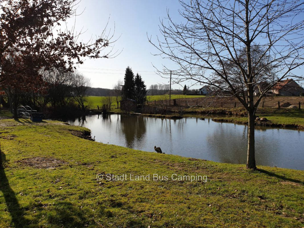 Am kleinen Teich 1