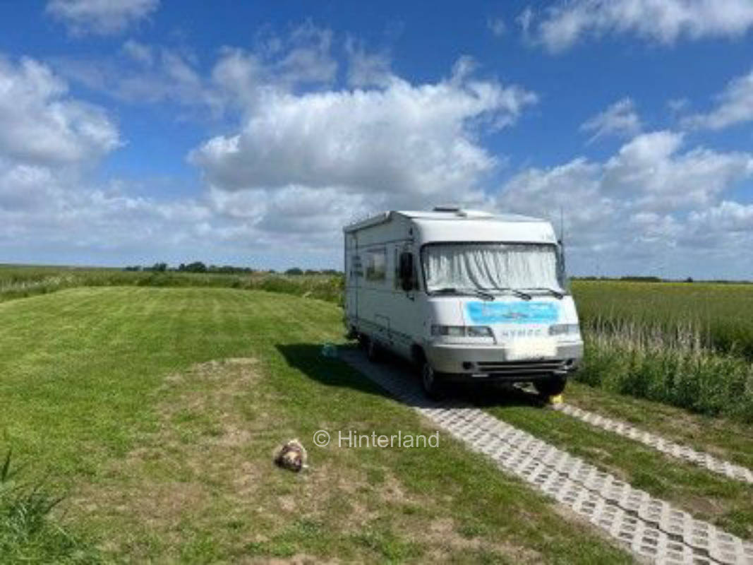 Place between dike and marsh with a far view
