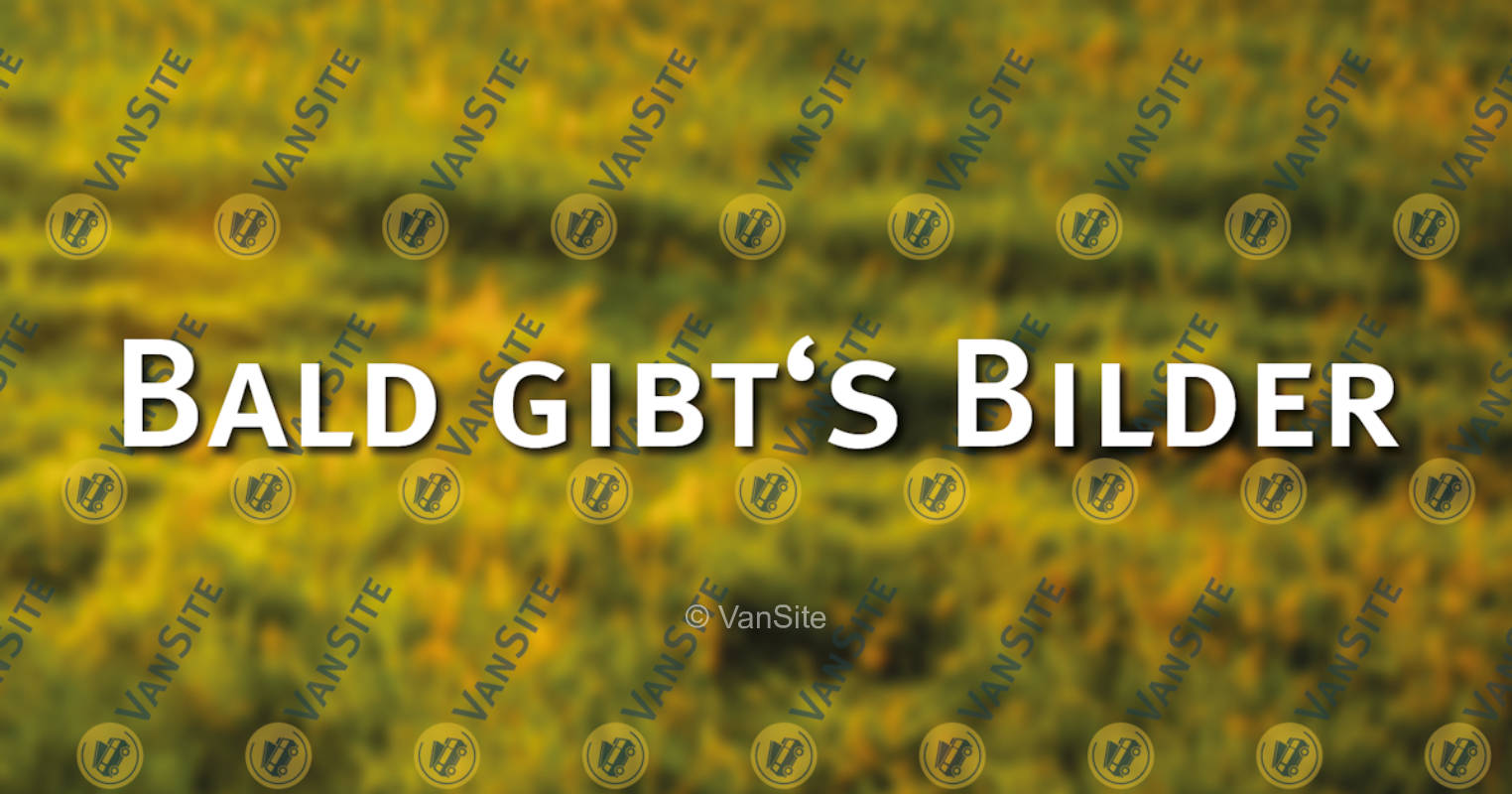 Wiese mit Traumaussicht