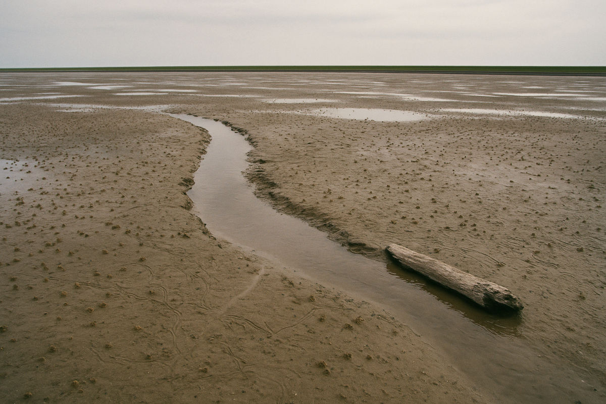 North Frisia – AI-generated illustrative image