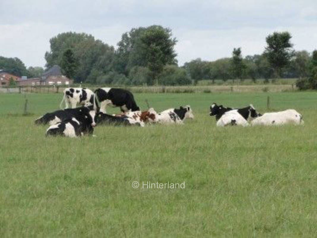 Camping im Oldenburger Land, privater Stellplatz