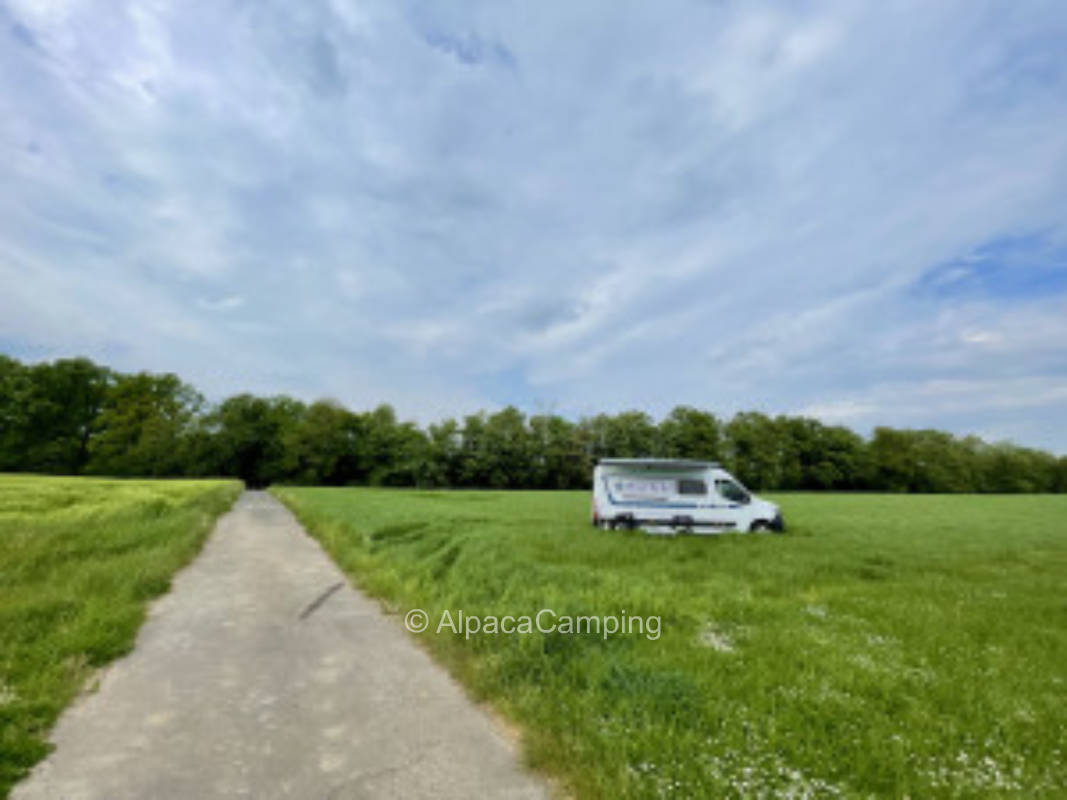 Beautiful meadow with Eifel view #1