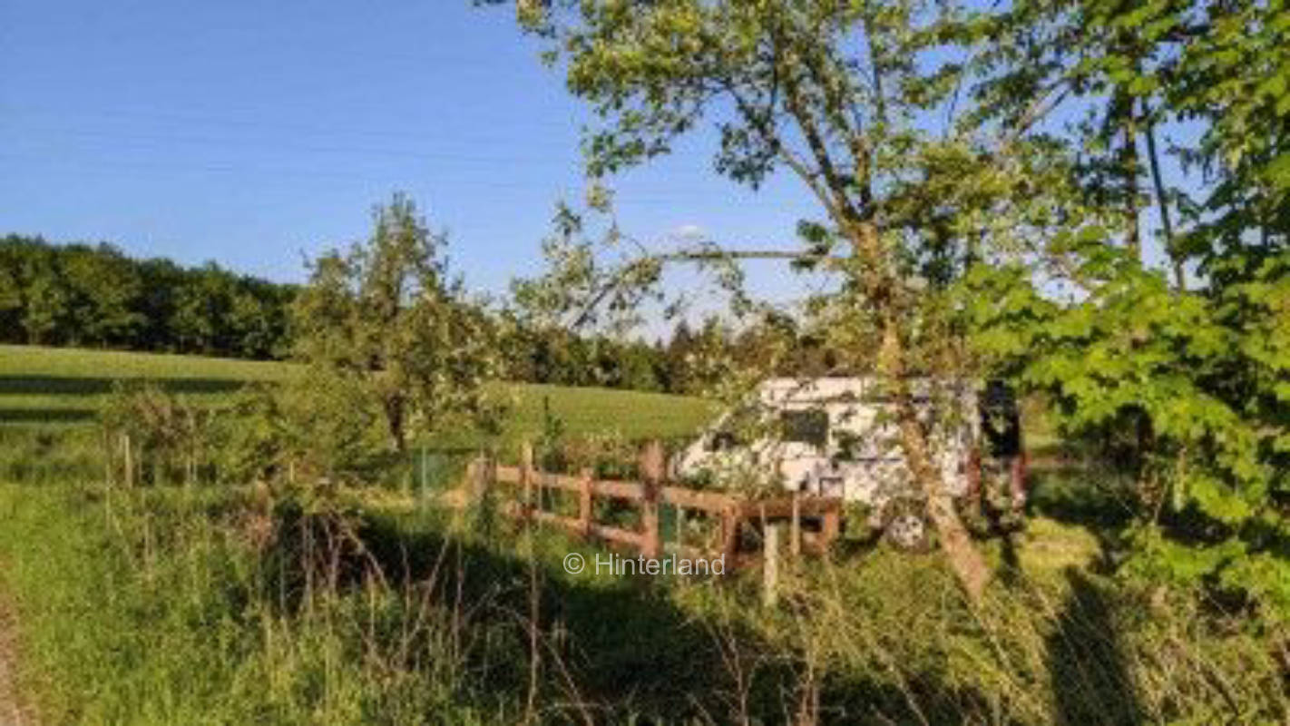 Entschleunigung auf der Waldwiese