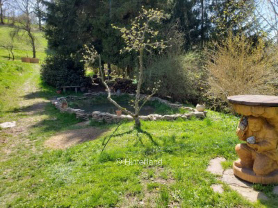 Idyllisches Plätzchen am Bach im Erzgebirge