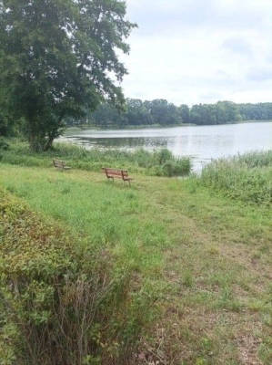 View of Schönlager See at the nature reserve