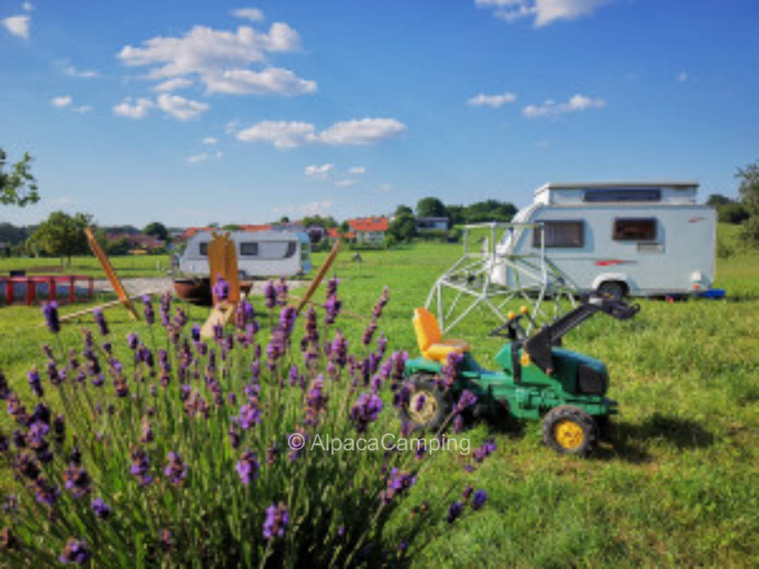 Farm camping on the creative and adventure farm Mitten im Chiemgau