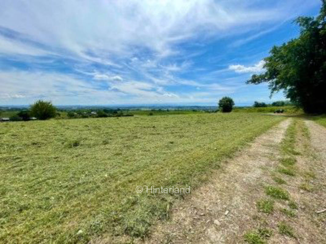 Waldrand-Camping mit Seesicht