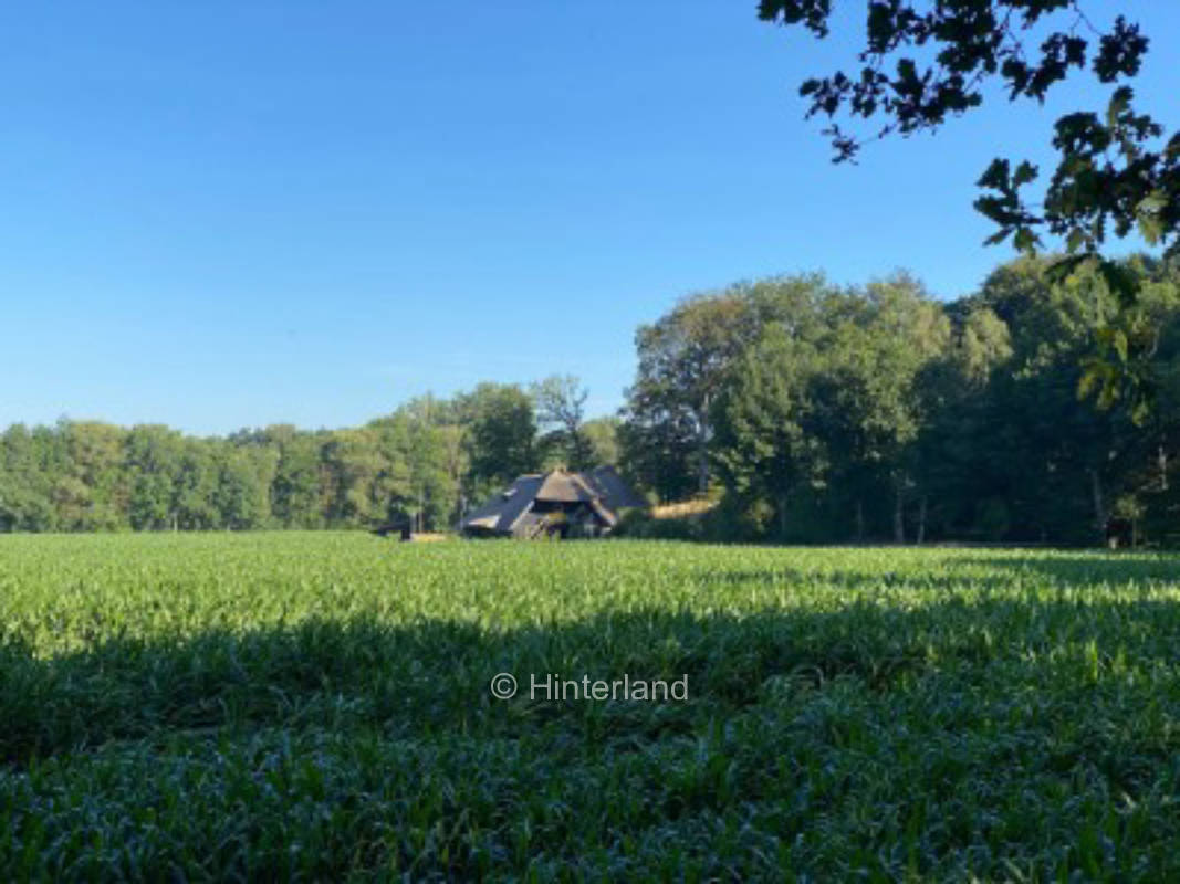 Stall Hohenheide - ruhige Idylle an der Hessel
