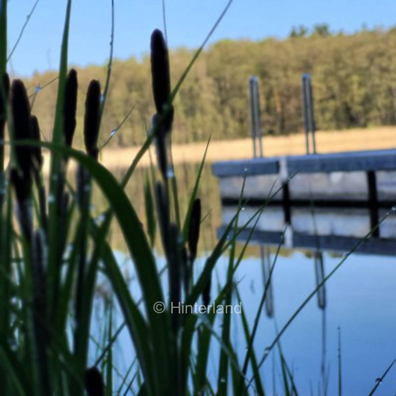 Pitch with rowing boat near Godendorf lake