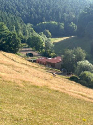 At Pferdehof - Secluded location directly at the forest edge
