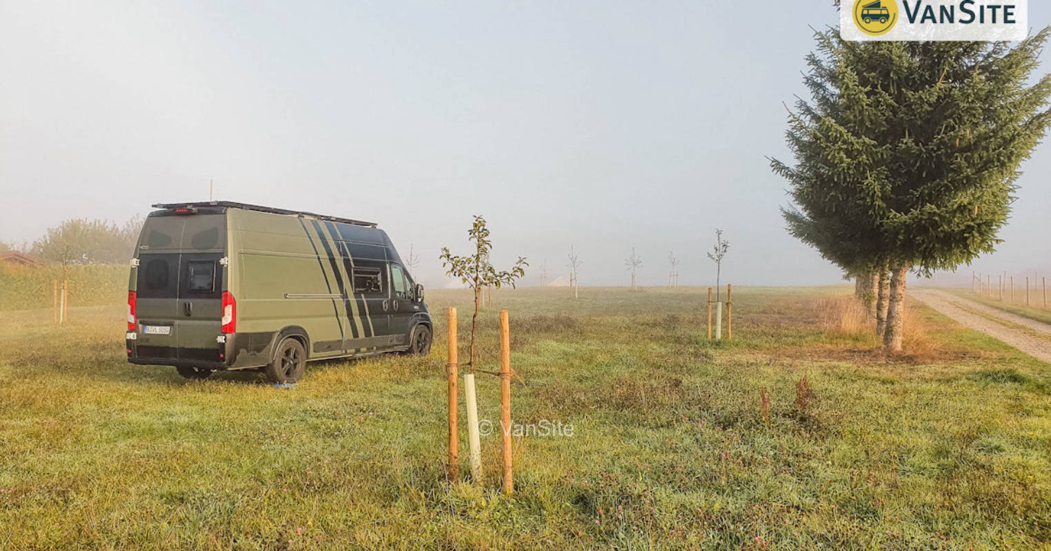 Orchard meadow on the Birch farm