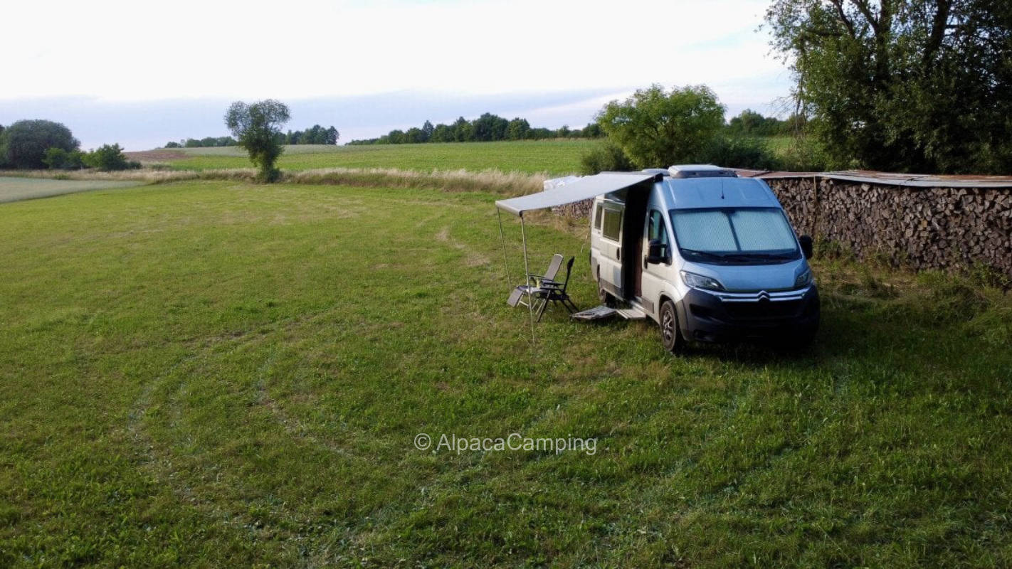 Pitch at the forest meadow #1