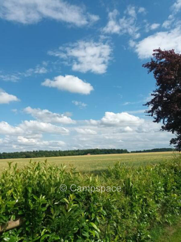 Ein Ort der Ruhe in Bassum