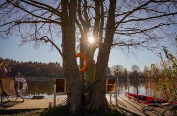 Rehmseecamp