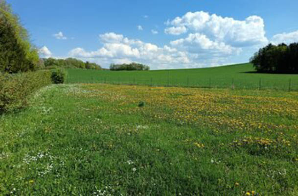 Camping pitch in a quiet location