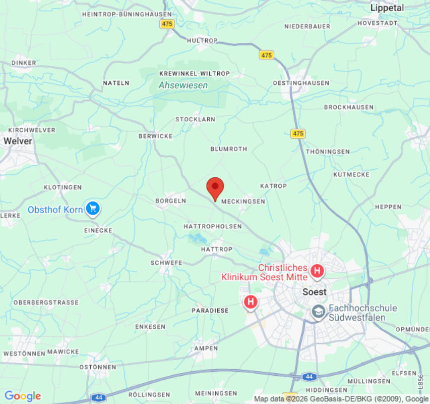 Stellplatz (Campspace 24665)