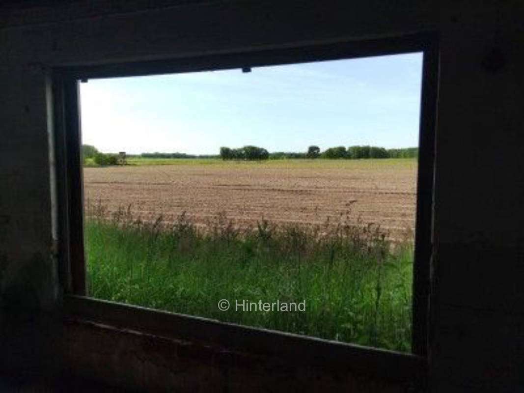 Zentral in der Natur am Rand der Lüneburger Heide