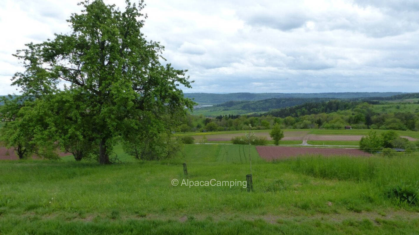 Schorndorf organic orchard #1, privater Stellplatz