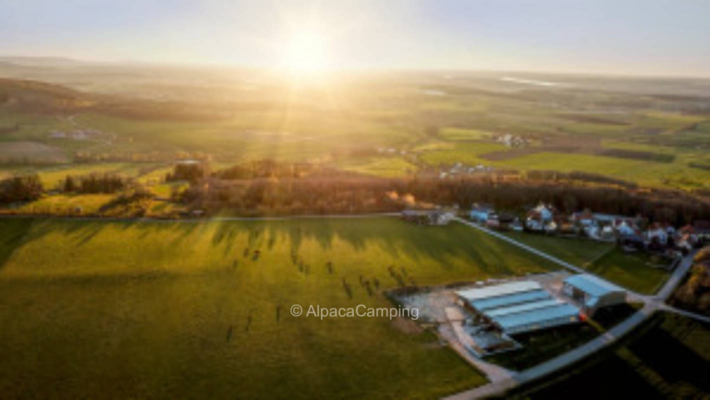 Right by the cow pasture #1