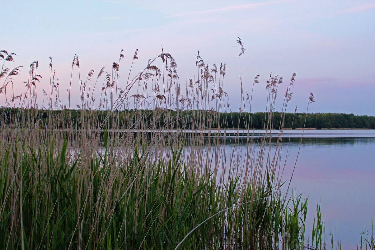 Die Mecklenburgische Seenplatte - Ein möglicher Stellplatz?