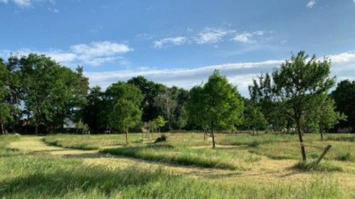 Übernachtungsplatz in Mitten einer Genusswiese
