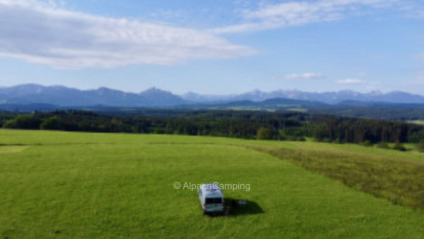 Netzlos glücklich am Waldrand