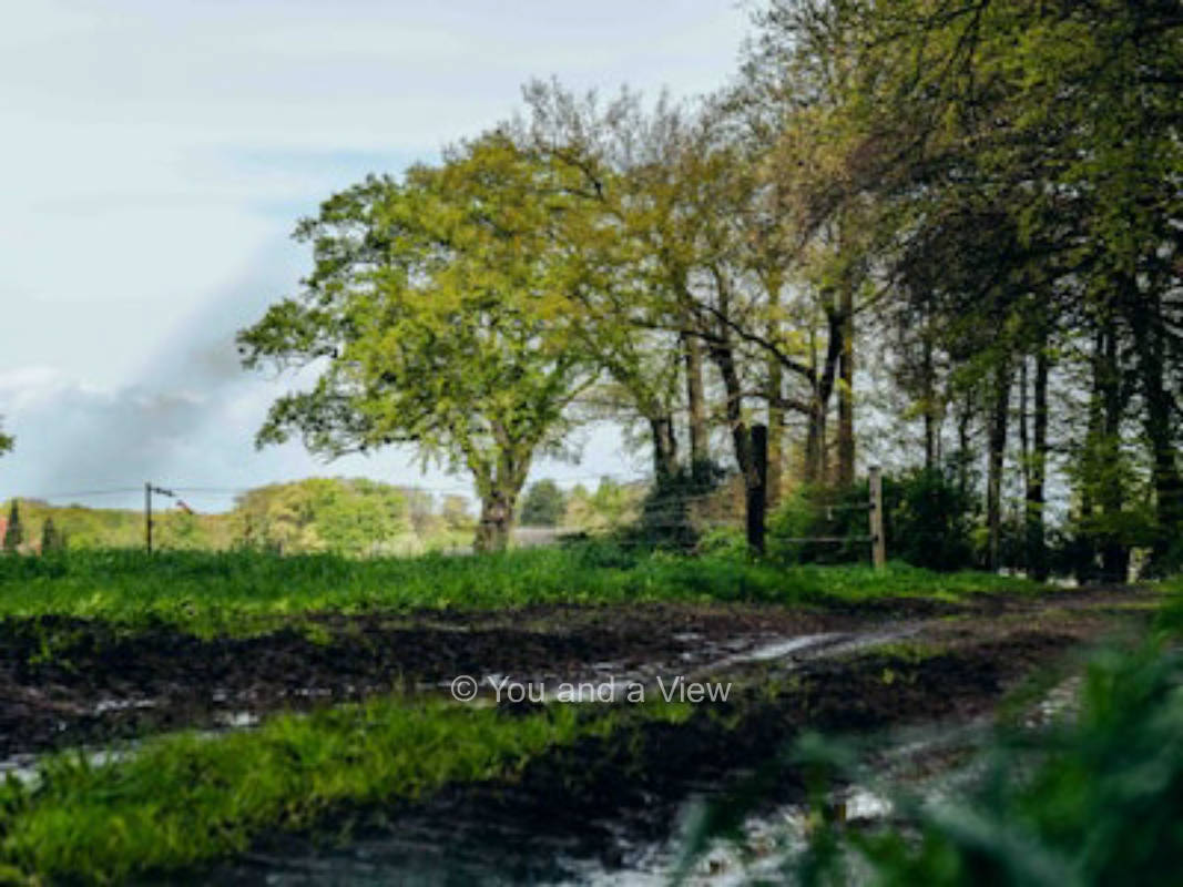 Stellplatz Hühnermobil