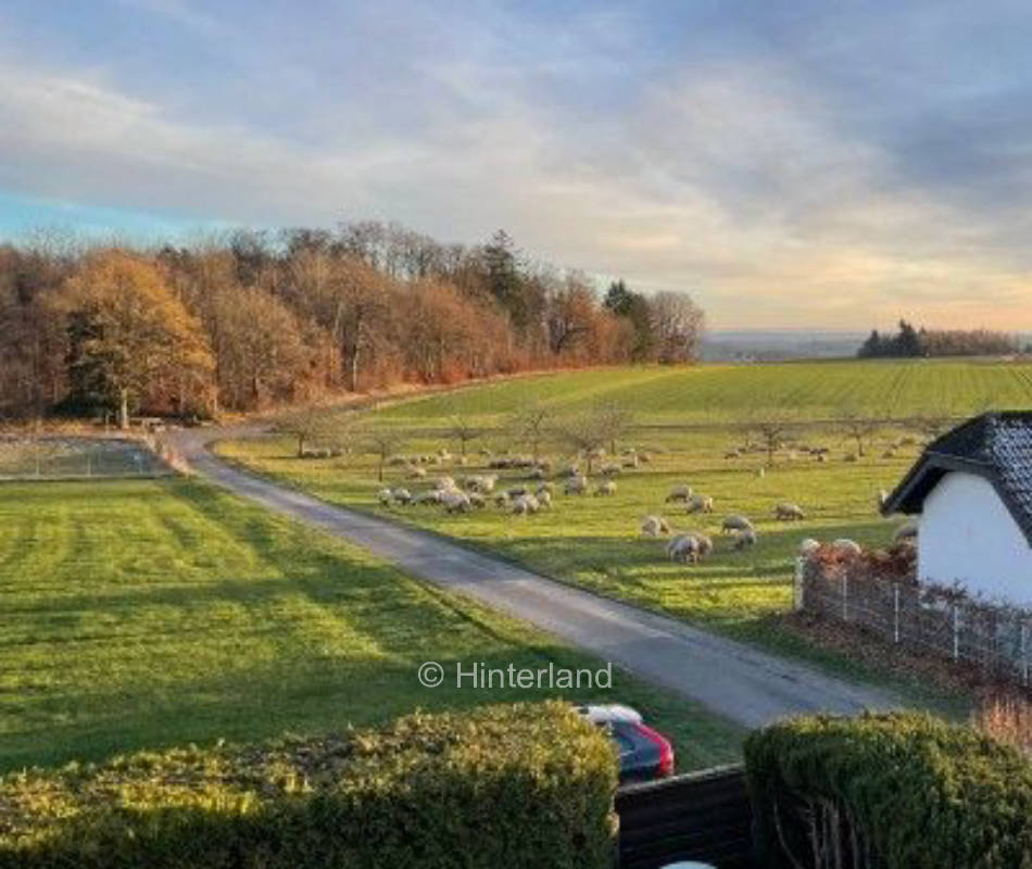 Camping am Ortsrand in der malerischen Eifel