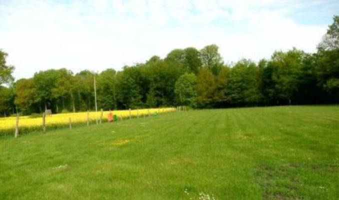 At the edge of the forest behind our heritage farm