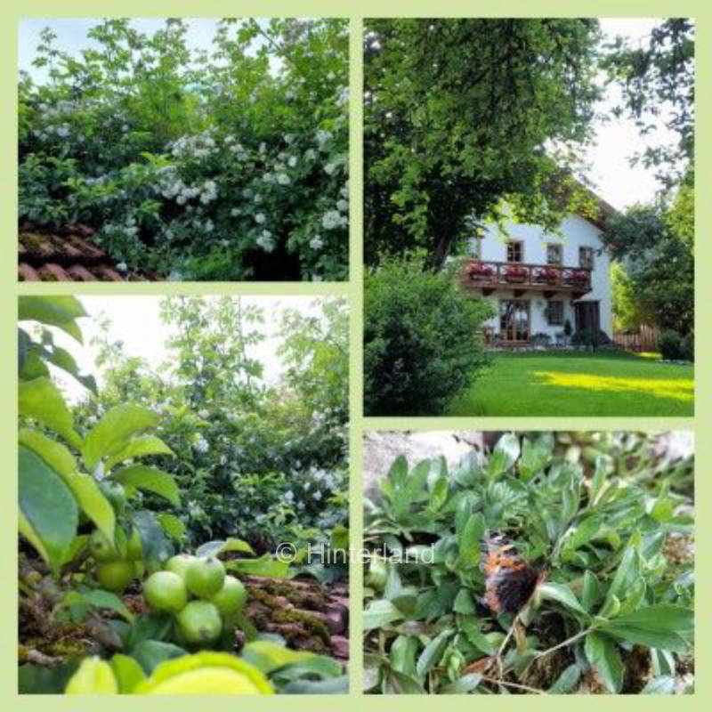 Campen auf dem Bauernhof im Voralpenland