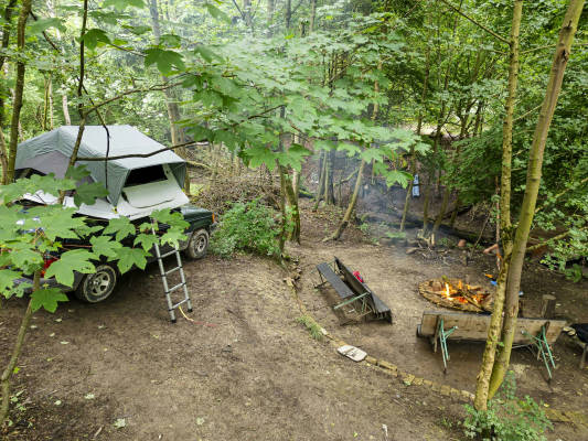 Forest property adventure survival