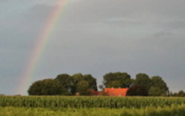 Der Archehof