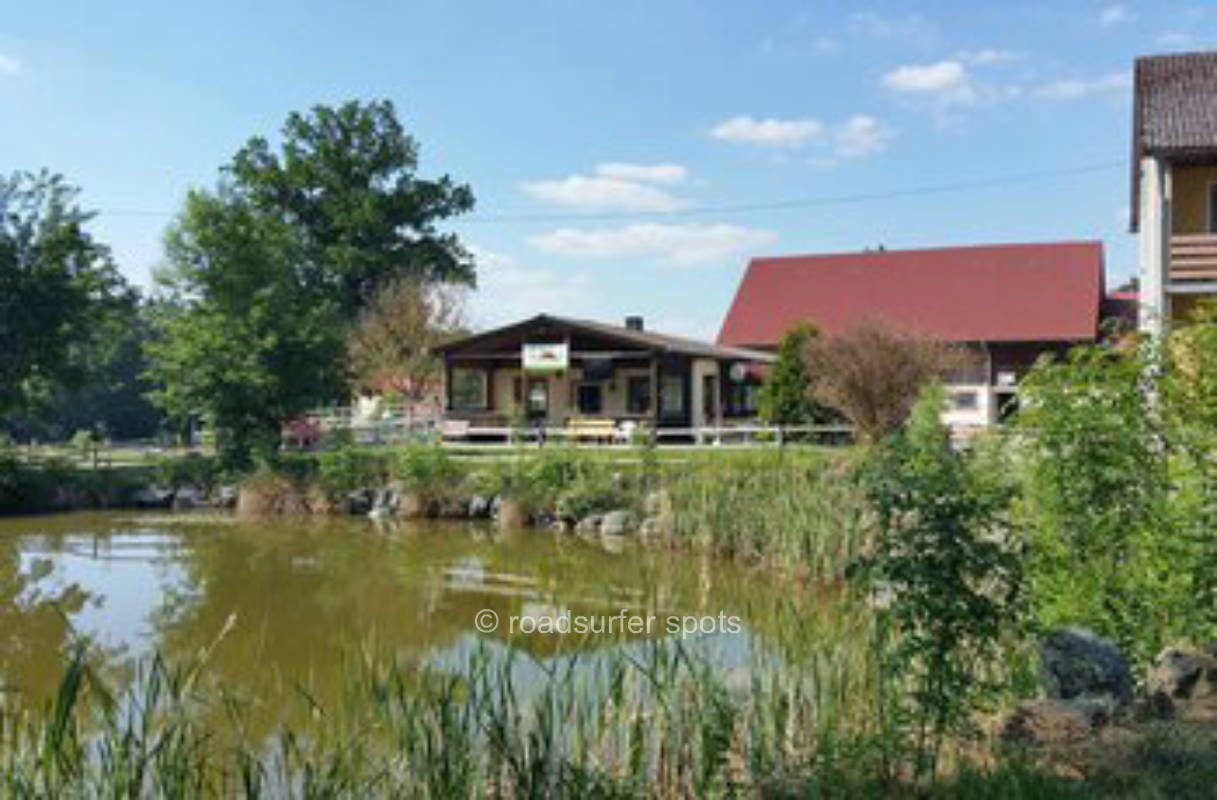 Place on the edge of the equestrian facility - forest meadows horses