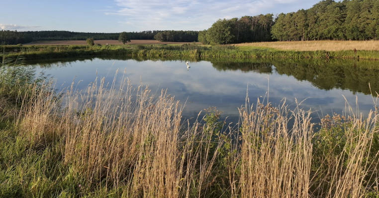 Fränkischer Aischgrund