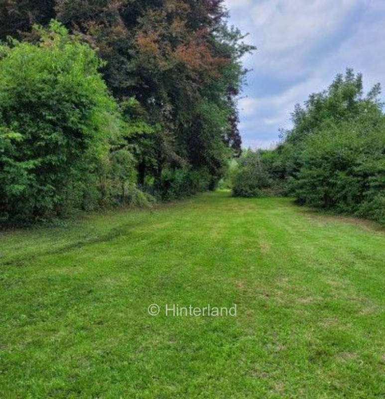 Wiese am Quellteich zwischen Werl und Unna