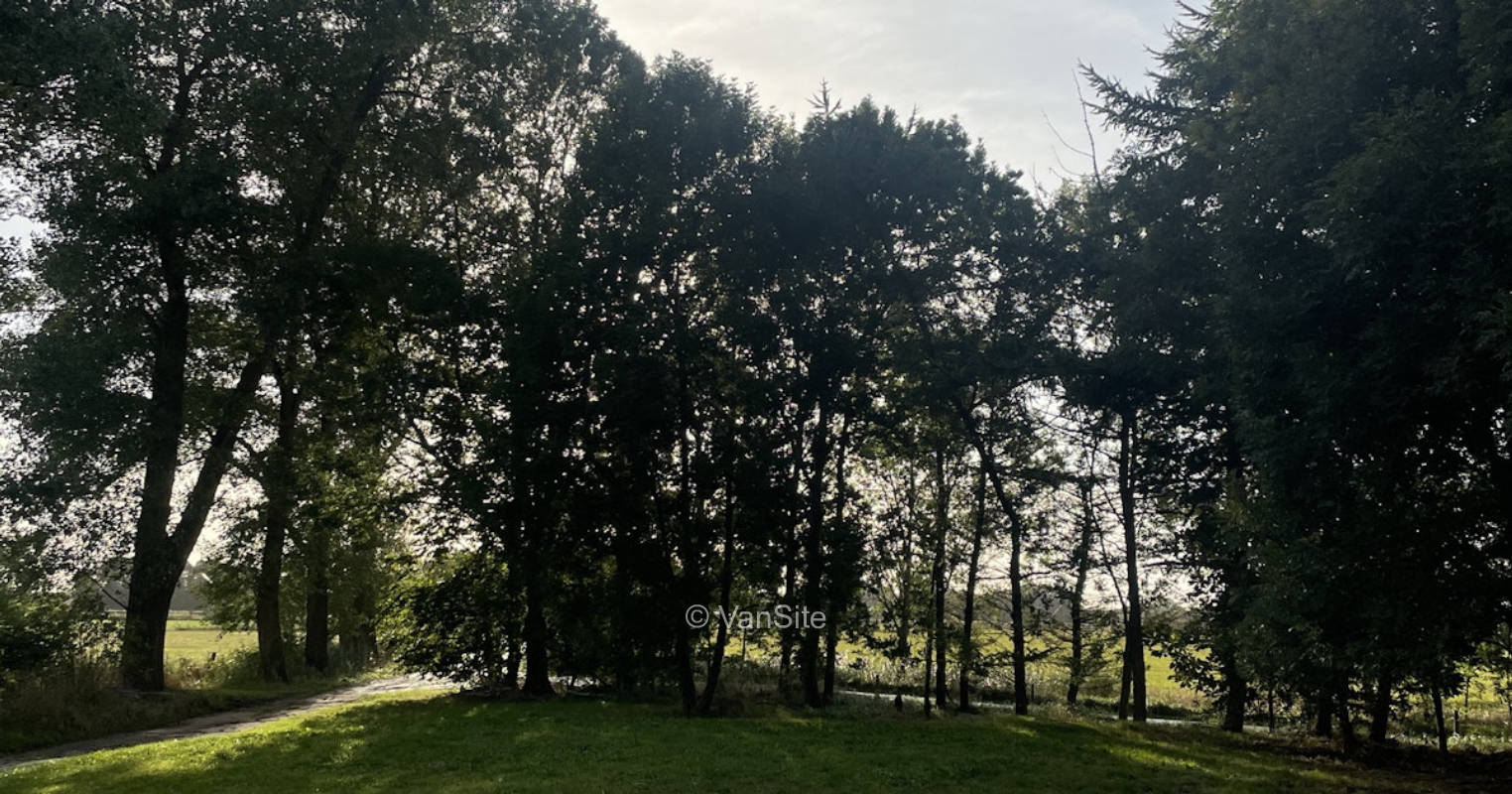 Die Grüne Natur  mit gute Anbindungen zum Fahrrad fahren