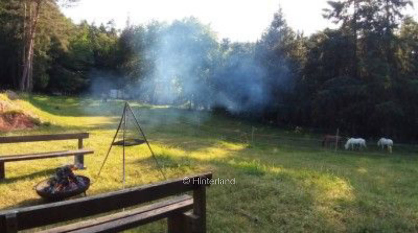 Im Herzen des Pfälzer Waldes 