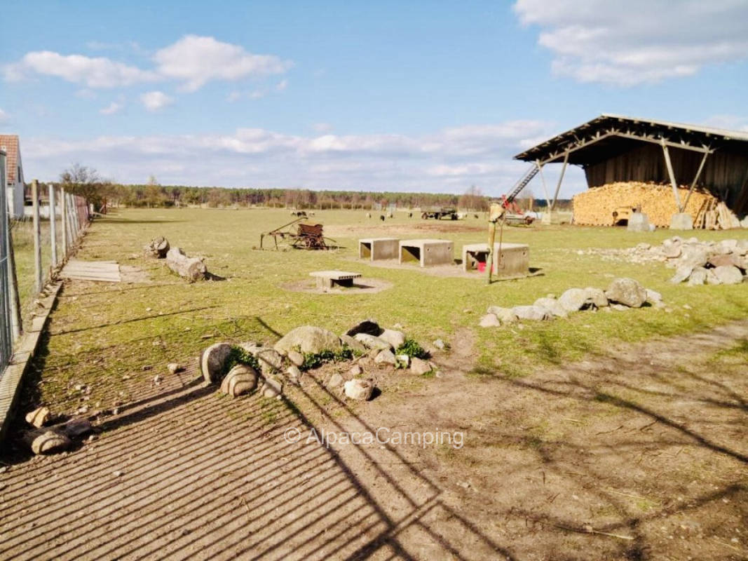 At sheep enclosure #1