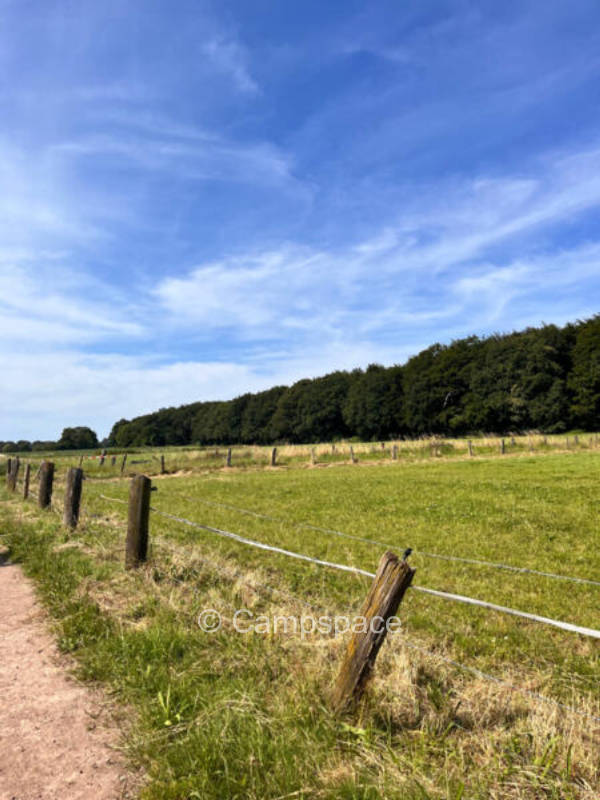Idyllisches Camping am Tüschenwald